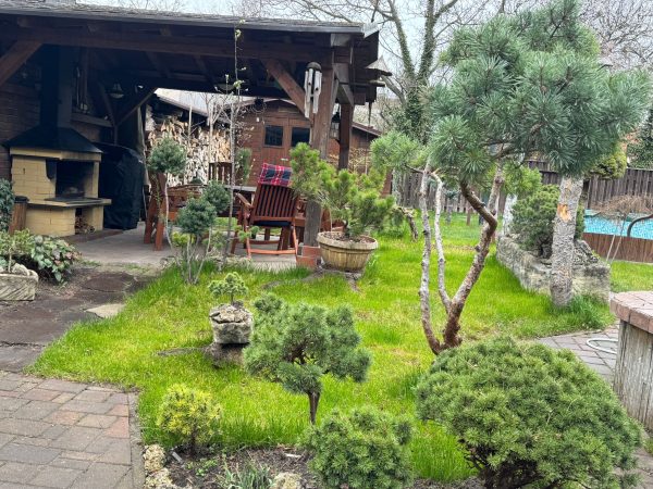 WhatsApp Image 2026-03-31 at 10.23.04 (2)